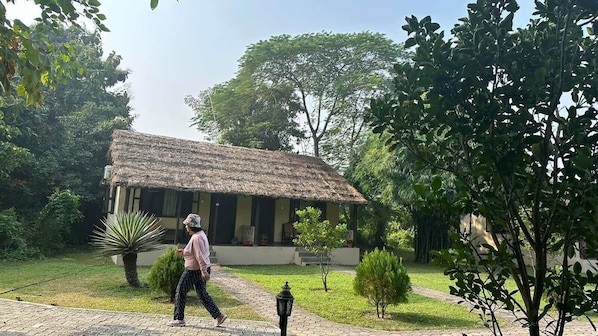 A thatched-roof building with a paved pathway leading to it, surrounded by greenery.