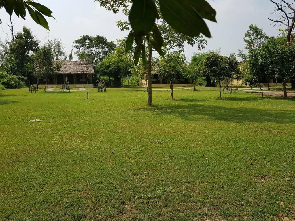 A grassy outdoor area with trees and a building in the background.