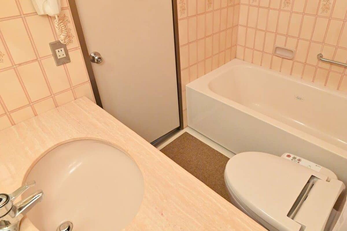 combined shower/bathtub, free toiletries, hair dryer, slippers