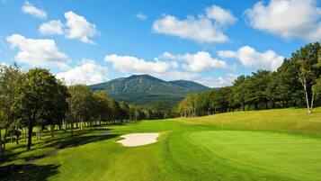 Enjoy a serene golfing experience surrounded by trees and a stunning mountain view.
