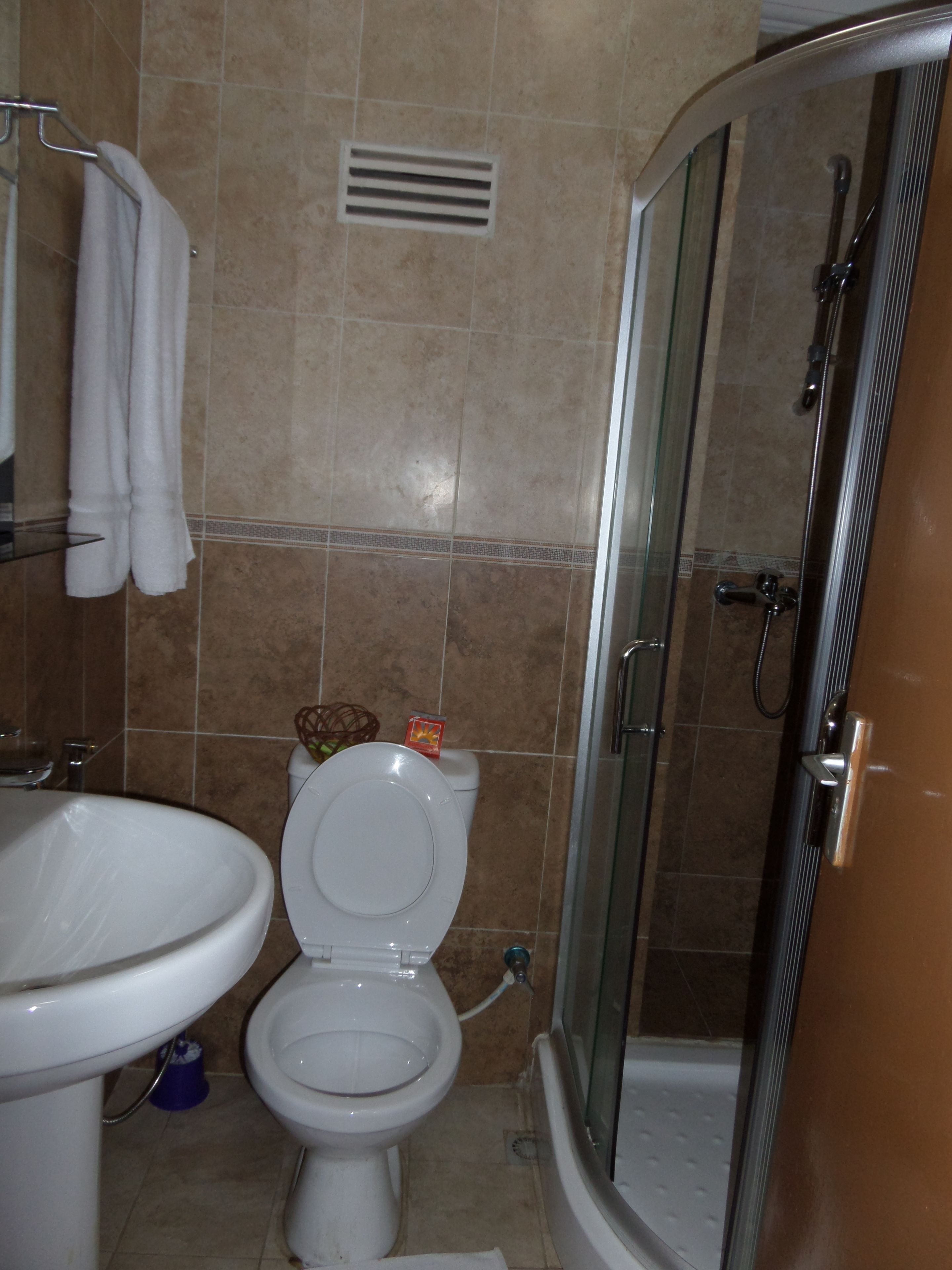 A bathroom with a toilet, sink, and shower.