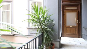 A building facade with a large potted plant, a wooden door, and a window with a white frame. - Dimora Delle Arti (Naples)