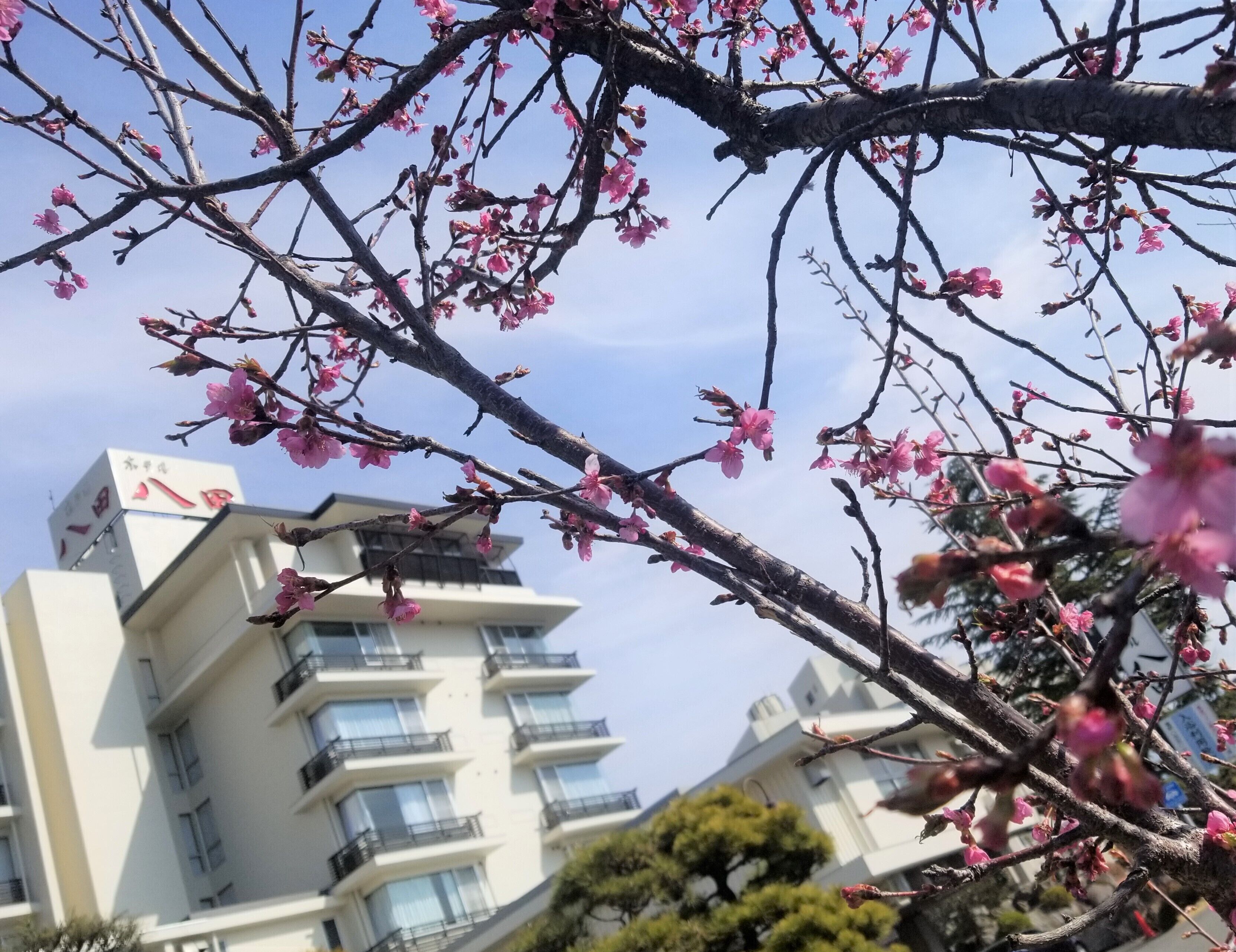 Un edificio de varios pisos con balcones y cielo despejado.