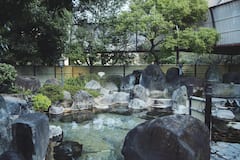 石和温泉 美と健康と癒しの宿 ホテル八田