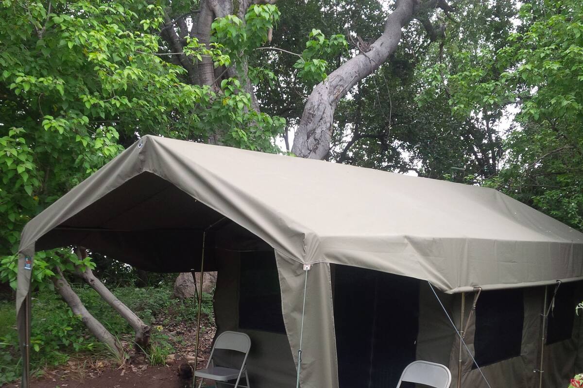 Una carpa con dos sillas en su interior, rodeada de árboles.