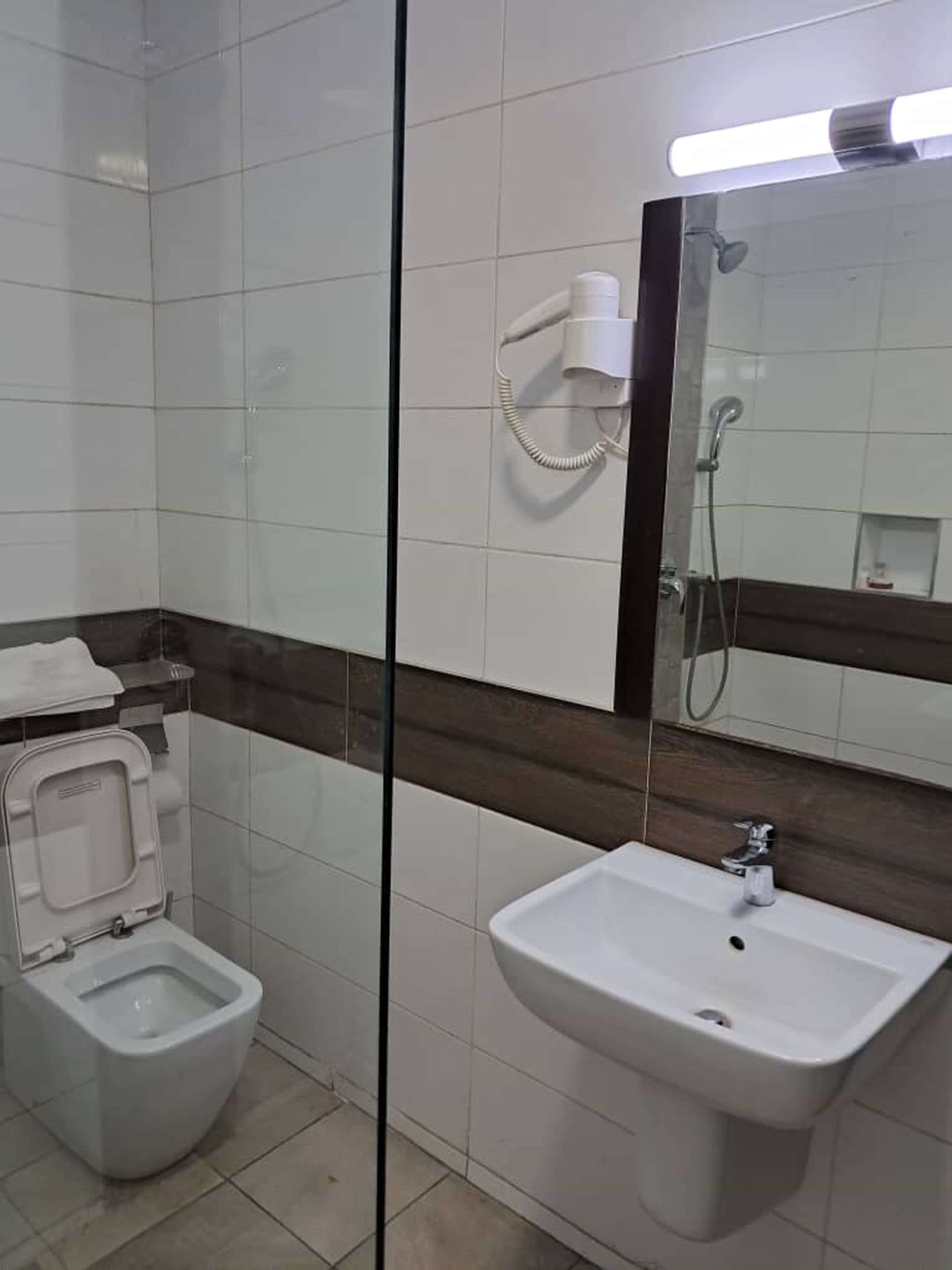 A bathroom with a toilet, a sink, a hairdryer, and a shower.