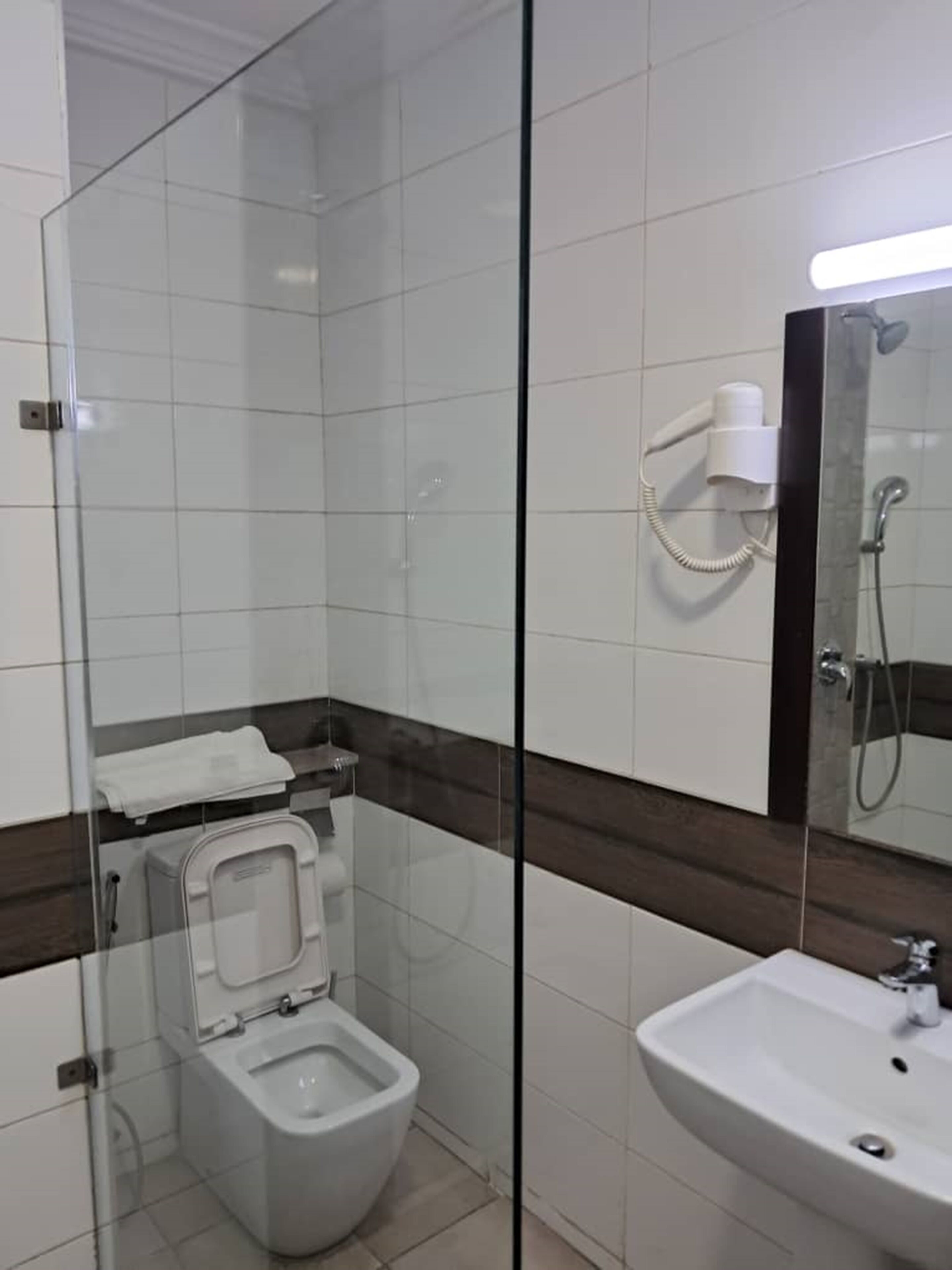A modern bathroom with a glass-enclosed shower, a toilet, and a sink.
