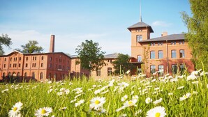 A building with a tower and multiple windows, surrounded by a field of daisies.