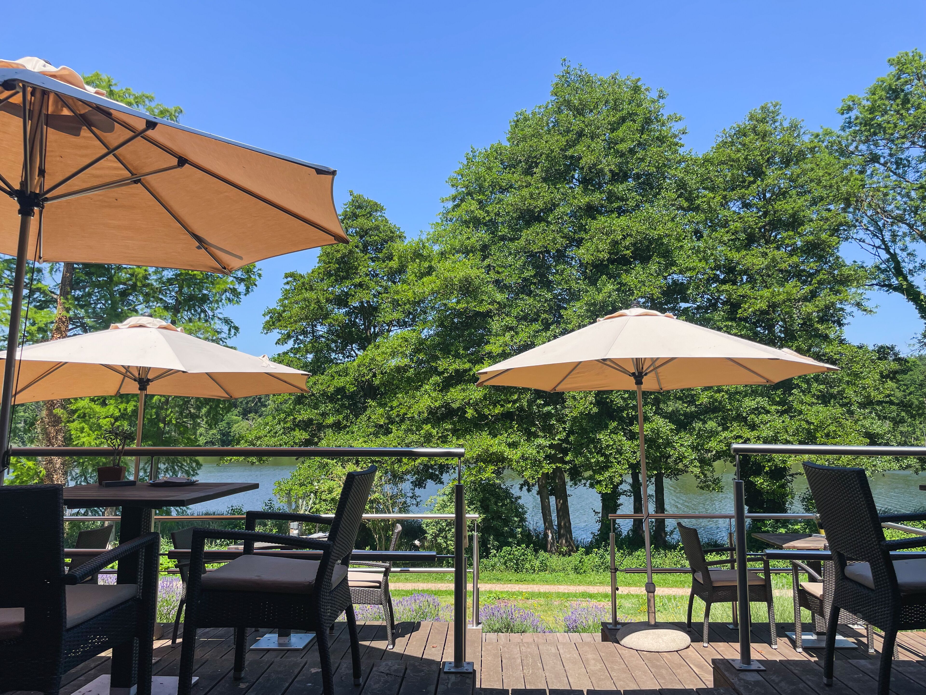 Serviço de almoço e jantar; culinária regional, vistas para o jardim 