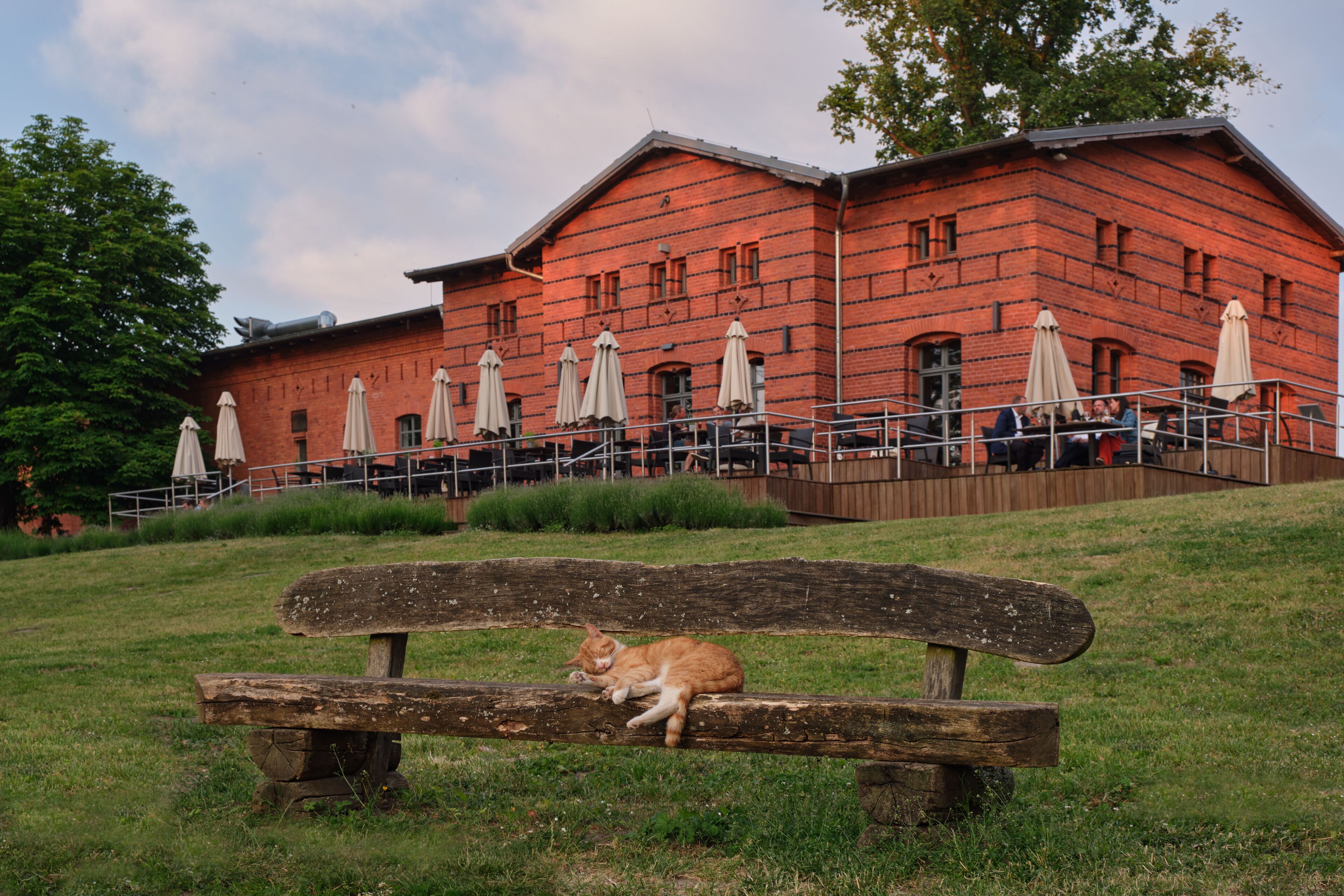 lunch, dinner served; regional cuisine, garden views