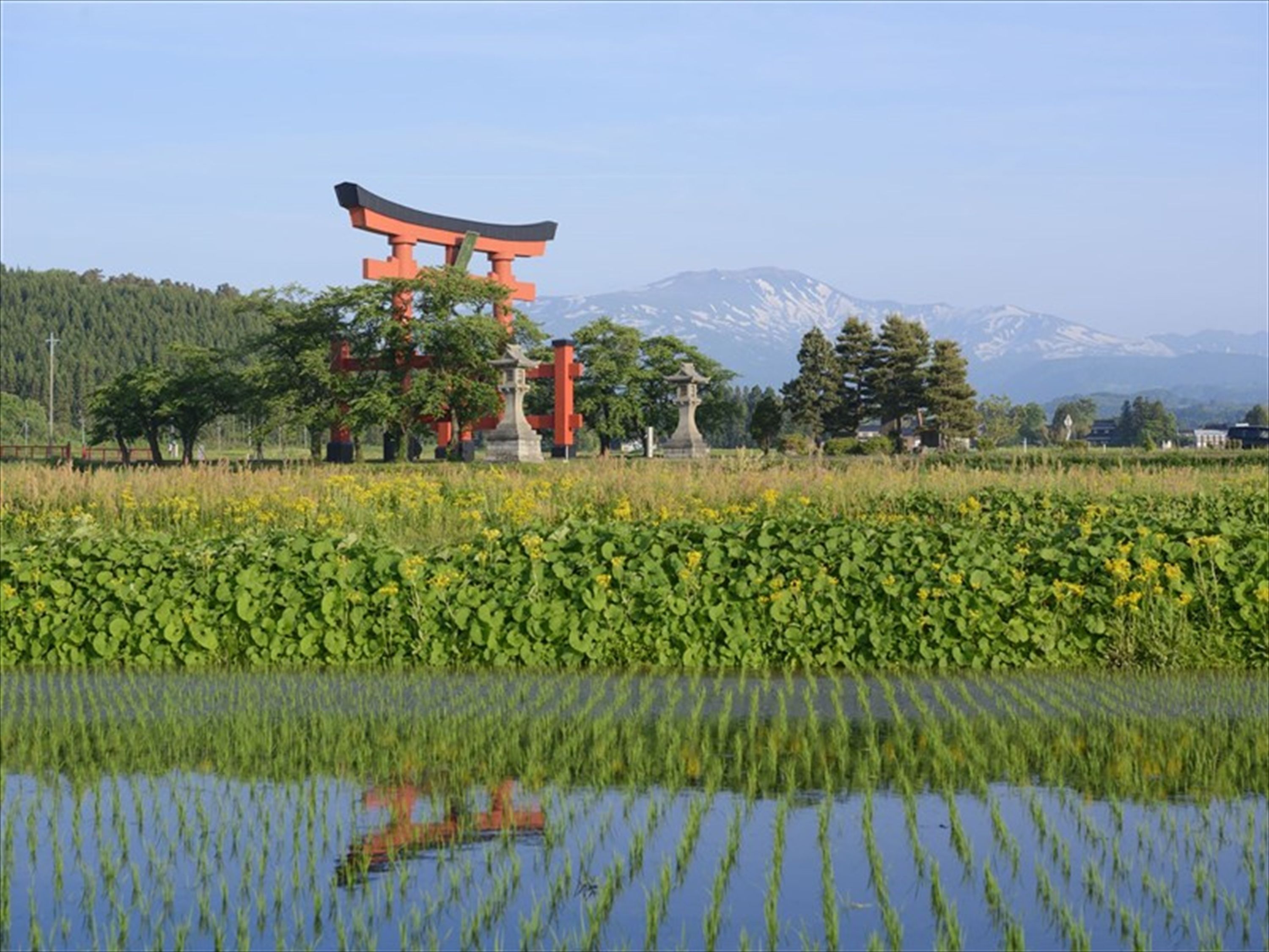 A traditional Japanese torii gate in a lush garden with a mountain in the background.