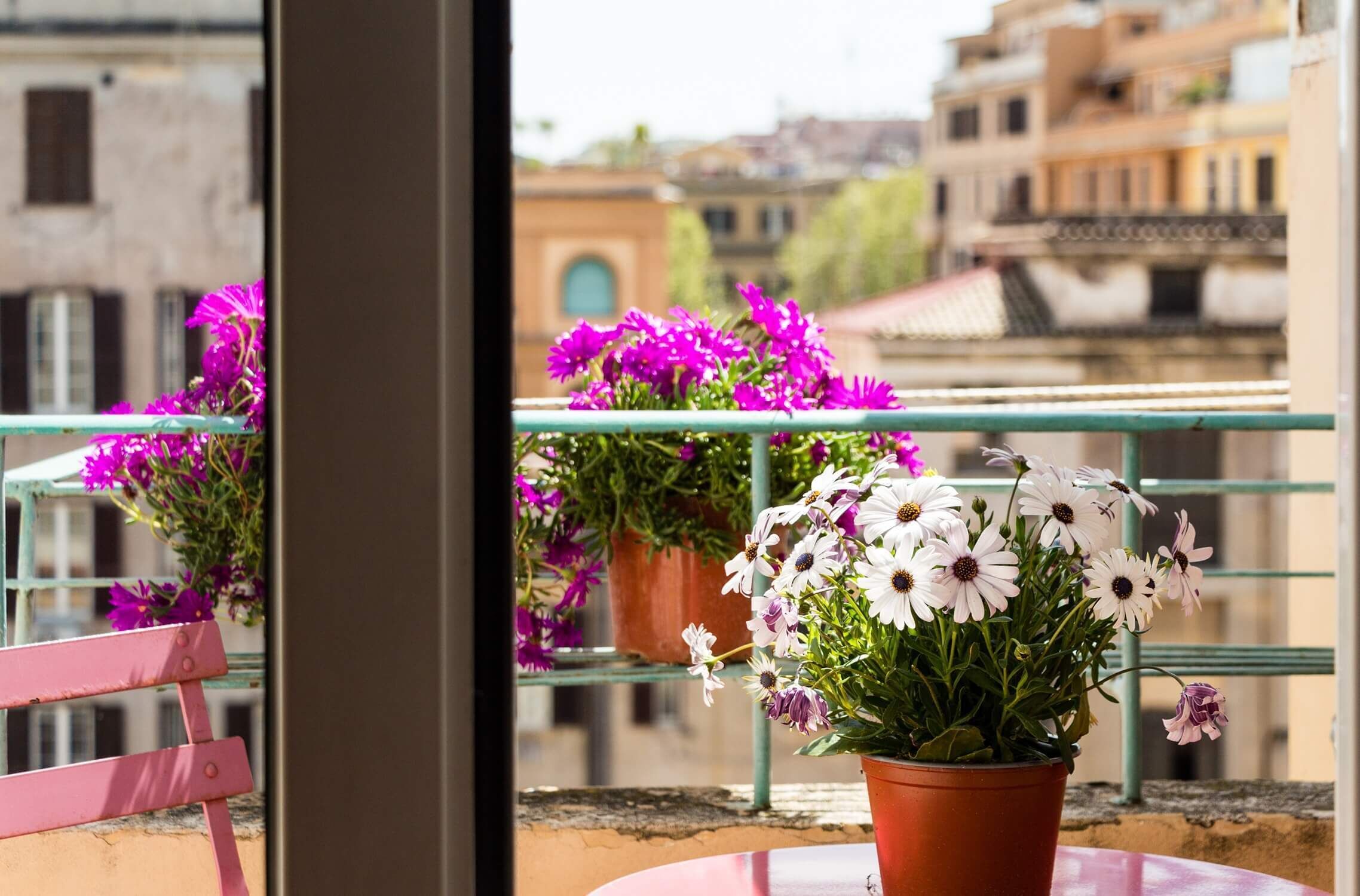 Teras/patio