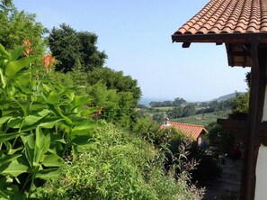 View from property - Bisalde Agroturismo (Bakio)
