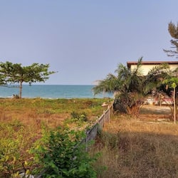 Ngoại thất