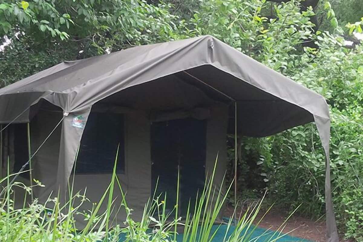 A tent-like structure with a door and windows, surrounded by greenery.