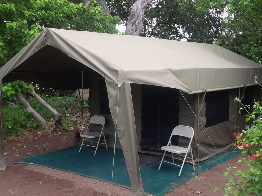 A tent with two chairs inside, surrounded by greenery.