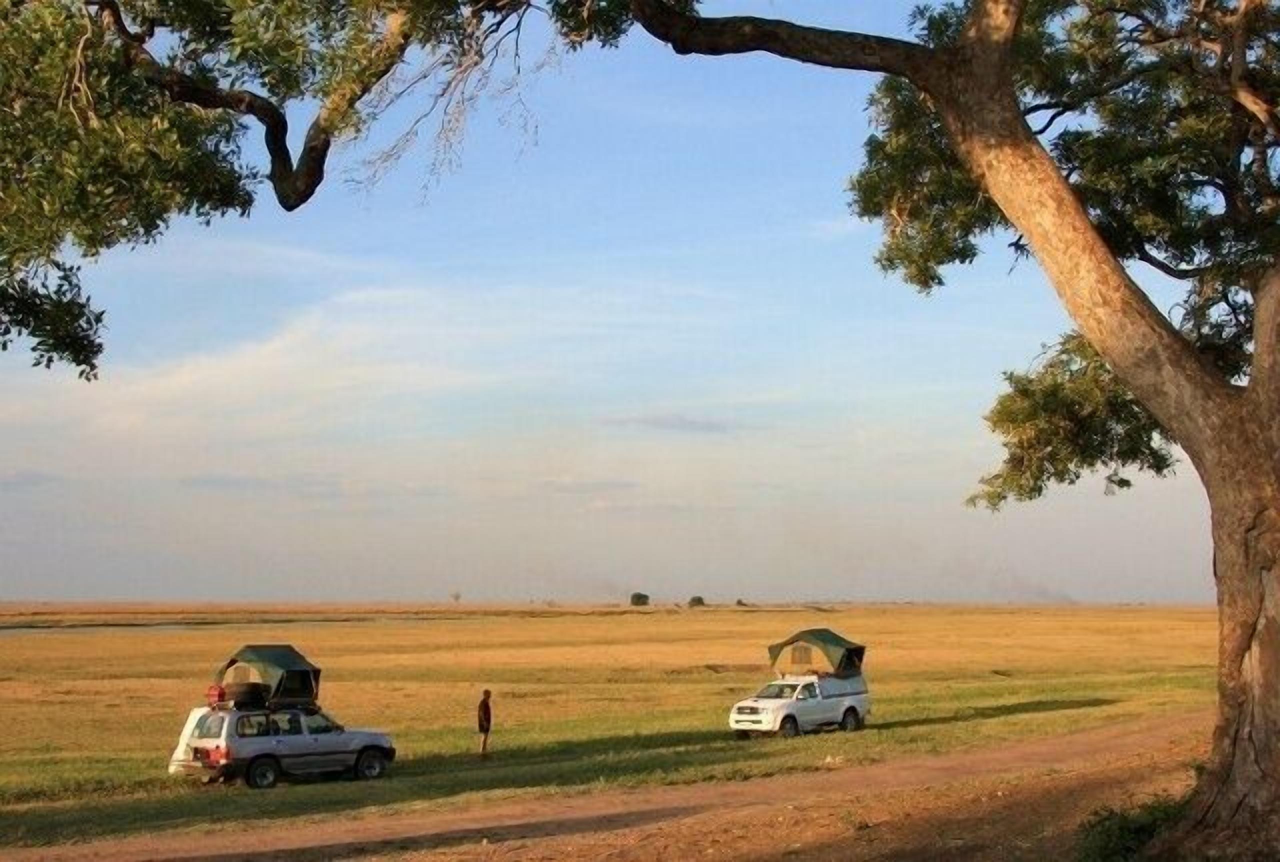 Dos vehículos con tiendas de campaña en un camino de tierra en un paisaje llano y abierto con pocos árboles.