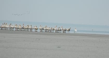 South Mobile Camp