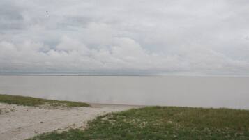 En strand med en sandstrand och gräsklädda sanddyner.