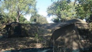 A tent set up in a wooded area with a table and chairs nearby. - South Mobile Camp (Nxai Pan National Park)