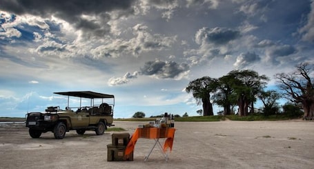 Outdoor dining. South Mobile Camp