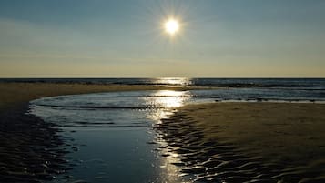 Hvidt sand, fiskeri