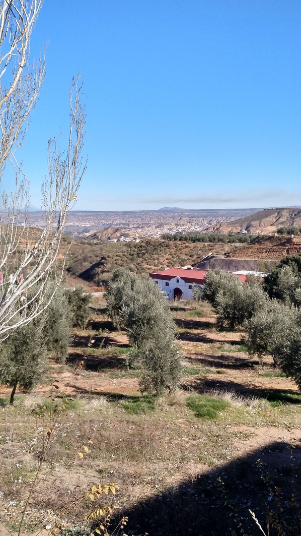 مزرعة كرم