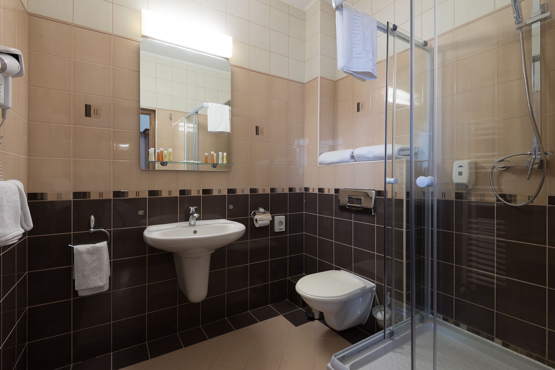 standard double or twin room, 1 queen bed | bathroom | shower, rainfall showerhead, free toiletries, hair dryer