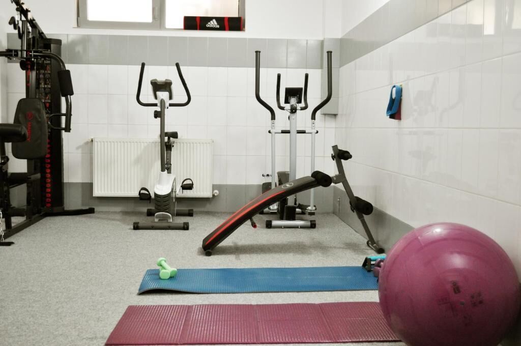 A gym with exercise equipment, a blue mat, and a pink exercise ball.
