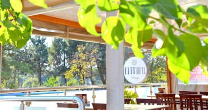 Elit Hotel Saray