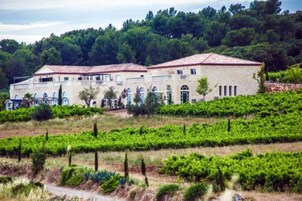 Un edificio grande de fachada de piedra y múltiples ventanales, rodeado de abundante vegetación y viñedos.