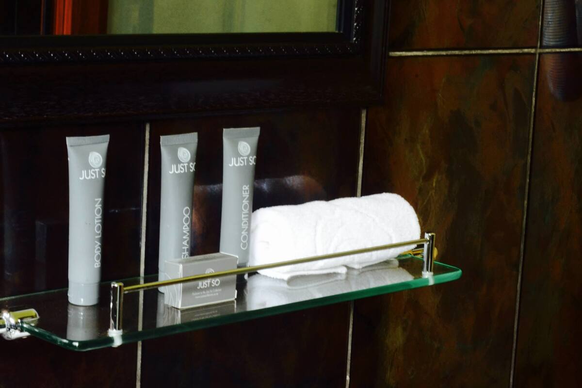 Free toiletries, hair dryer, bidet