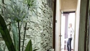 Un pasillo con pared de piedra y planta en maceta.