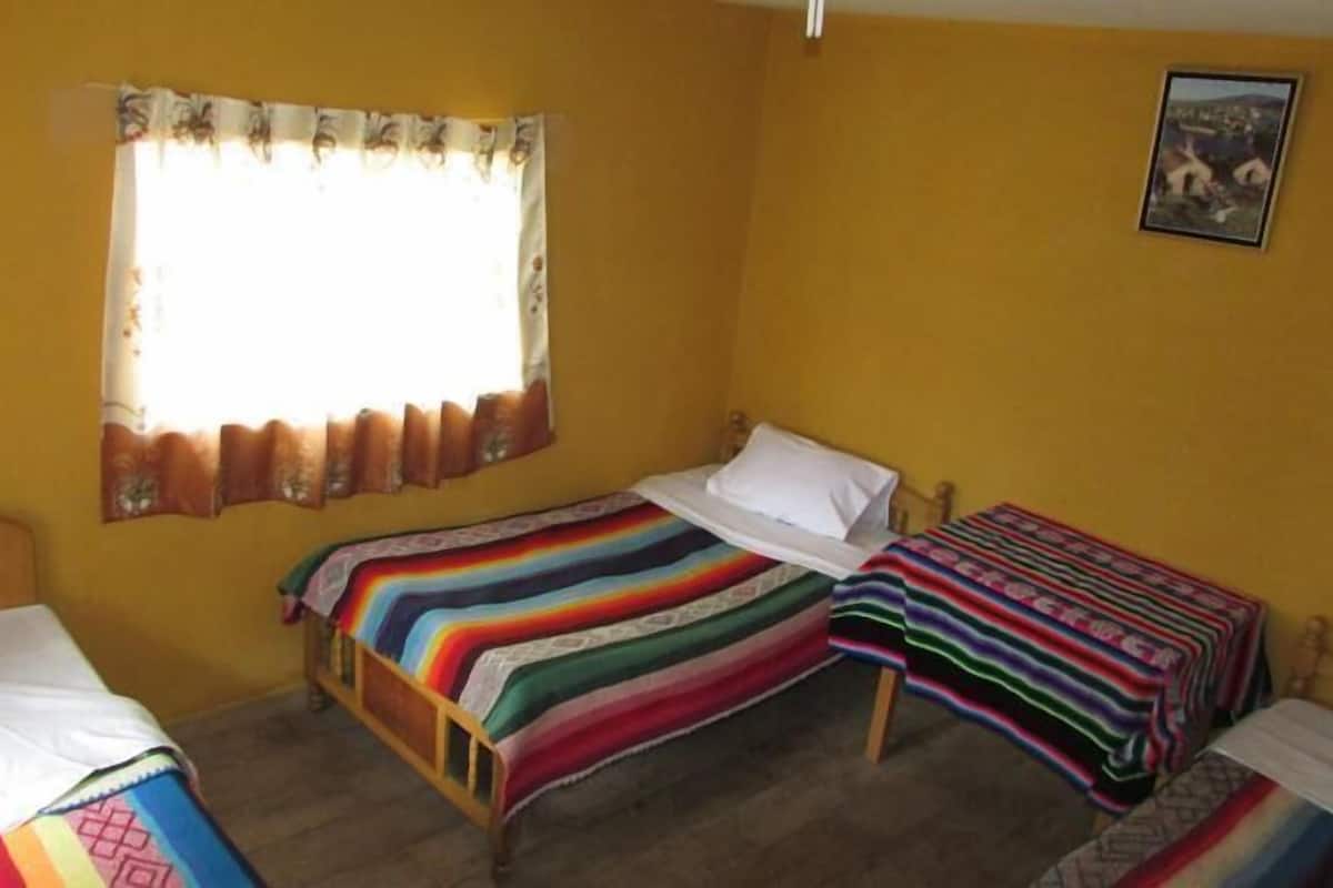 A room with two beds, a window with curtains, and a picture on the wall.