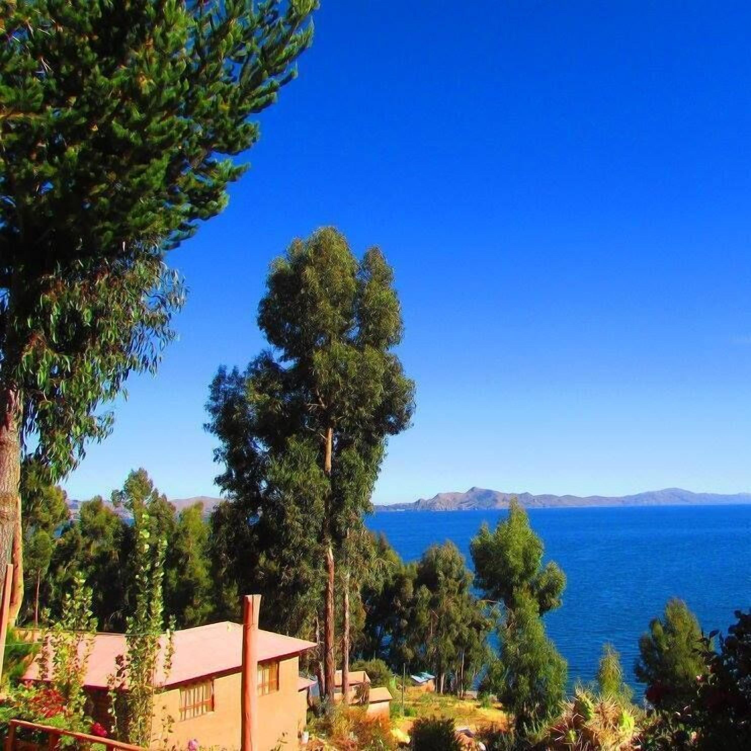 施設からの眺望