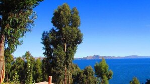 Propiedad costera con vista al mar, rodeada de árboles altos y un edificio pequeño.