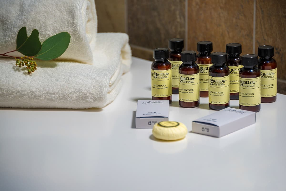 shower, rainfall showerhead, free toiletries, hair dryer