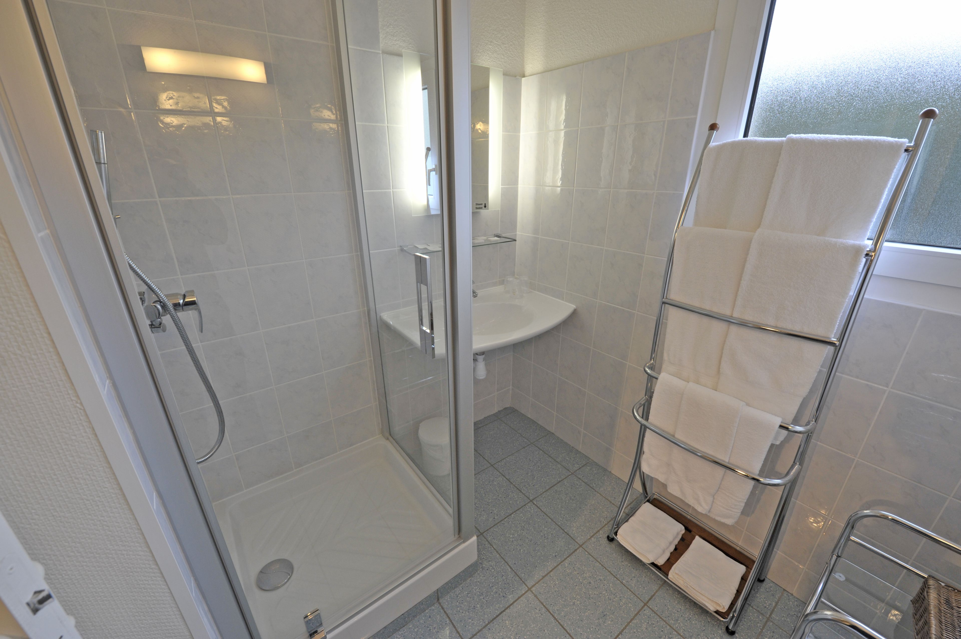combined shower/bathtub, free toiletries, hair dryer, towels