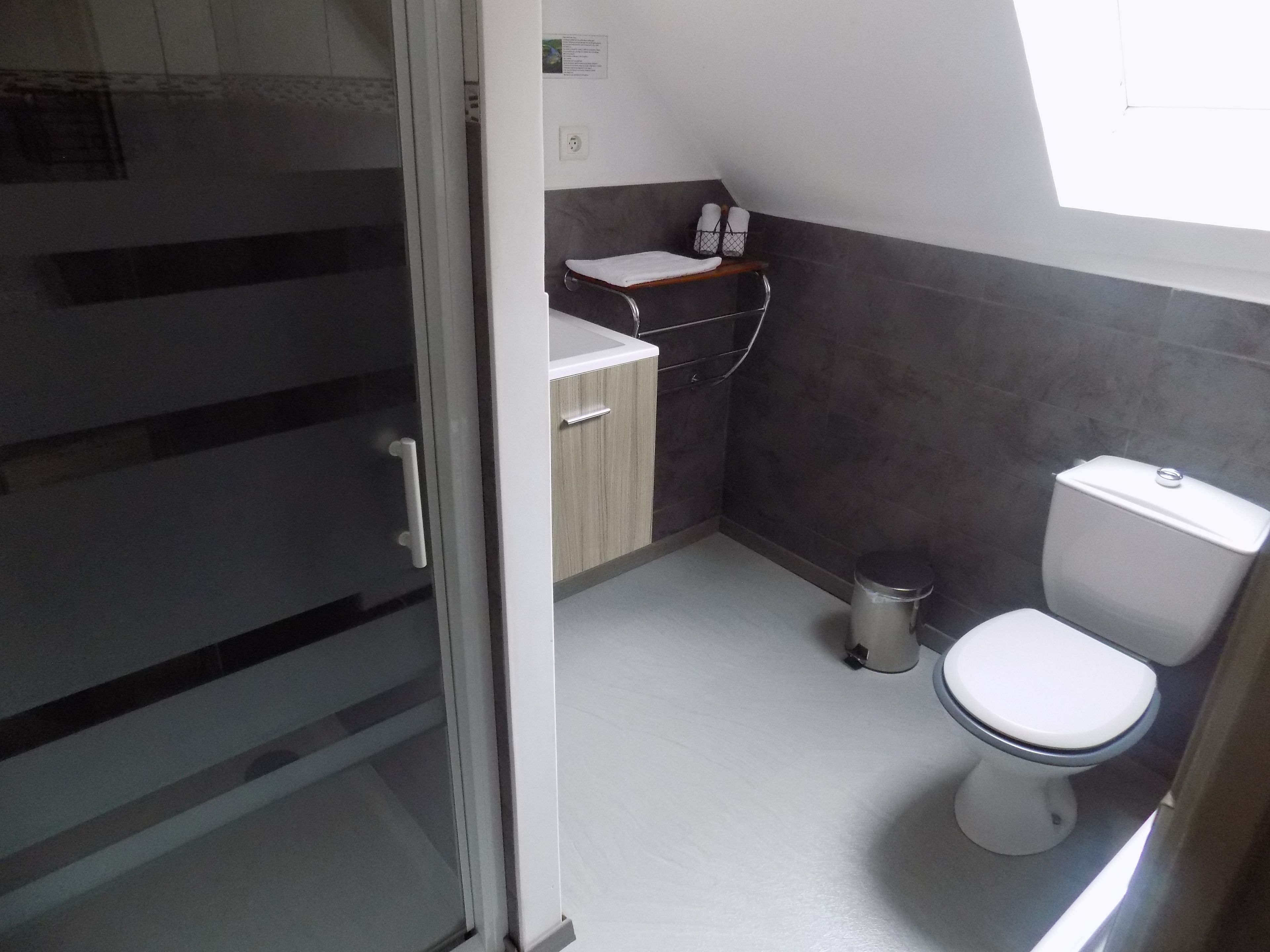 Une petite salle de bain avec des toilettes, un lavabo et une poubelle.