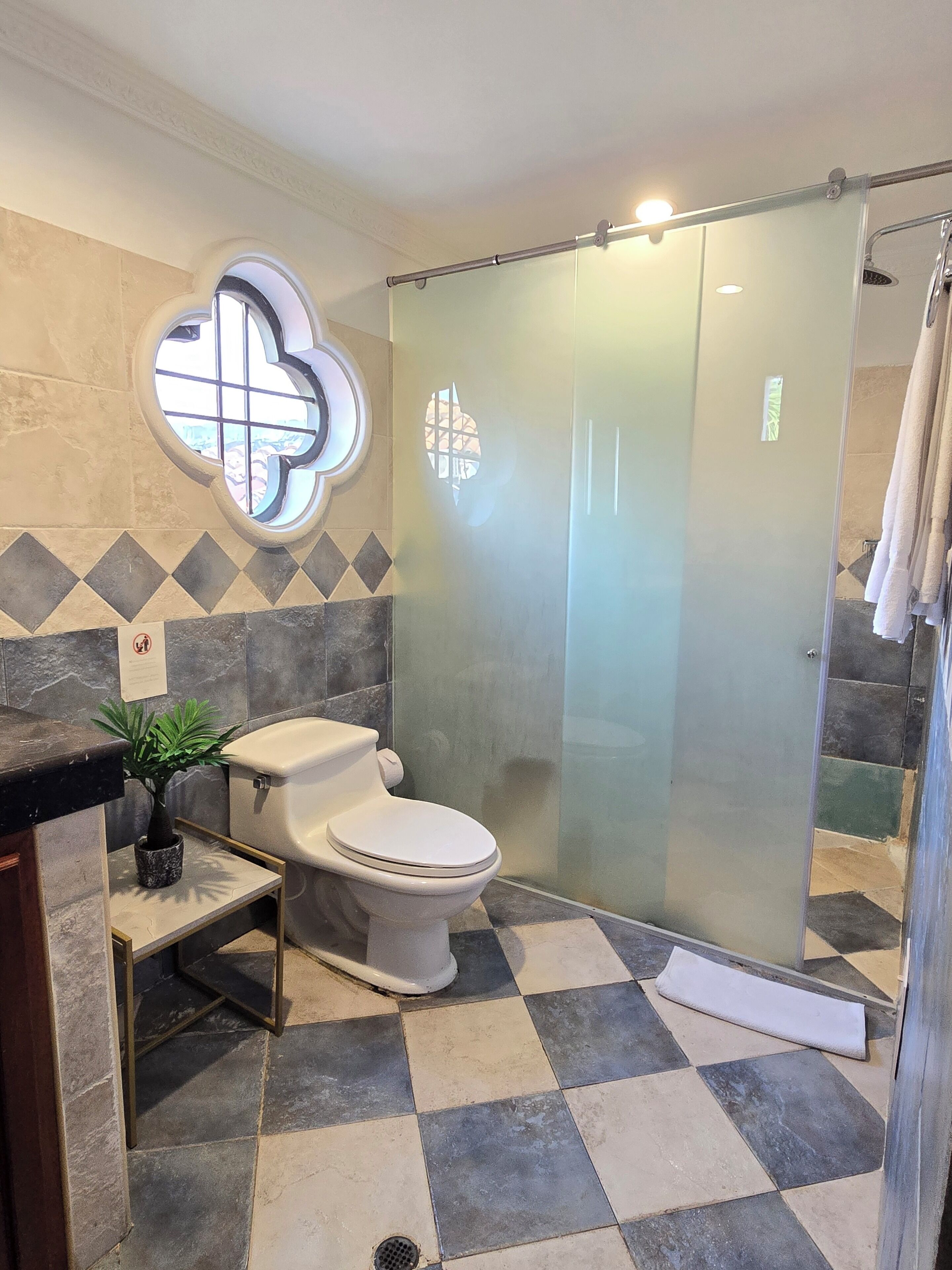 Un baño con inodoro, cabina de ducha de vidrio, planta en maceta y piso a cuadros.