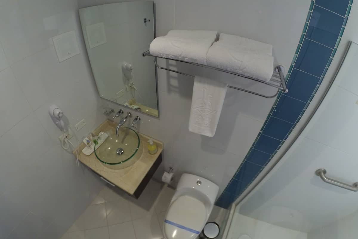 shower, free toiletries, hair dryer, towels