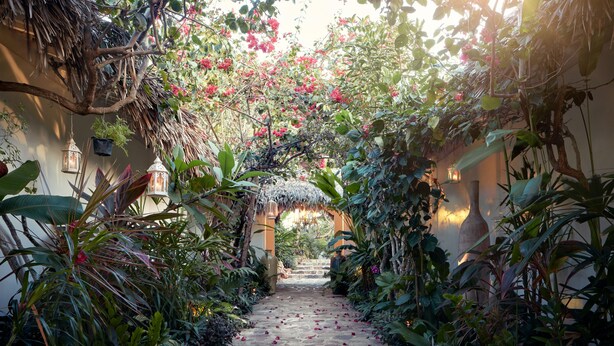 Un sendero de jardín con una estructura cubierta de paja, rodeado de exuberante follaje y plantas en flor.