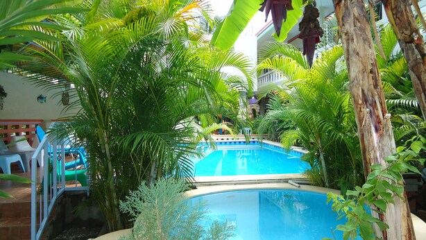Una piscina rodeada de abundante vegetación, con palmeras y otras plantas tropicales.