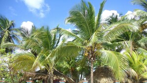 Un resort tropical con palmeras, una estructura de techo de paja y una cerca blanca con detalles azules.