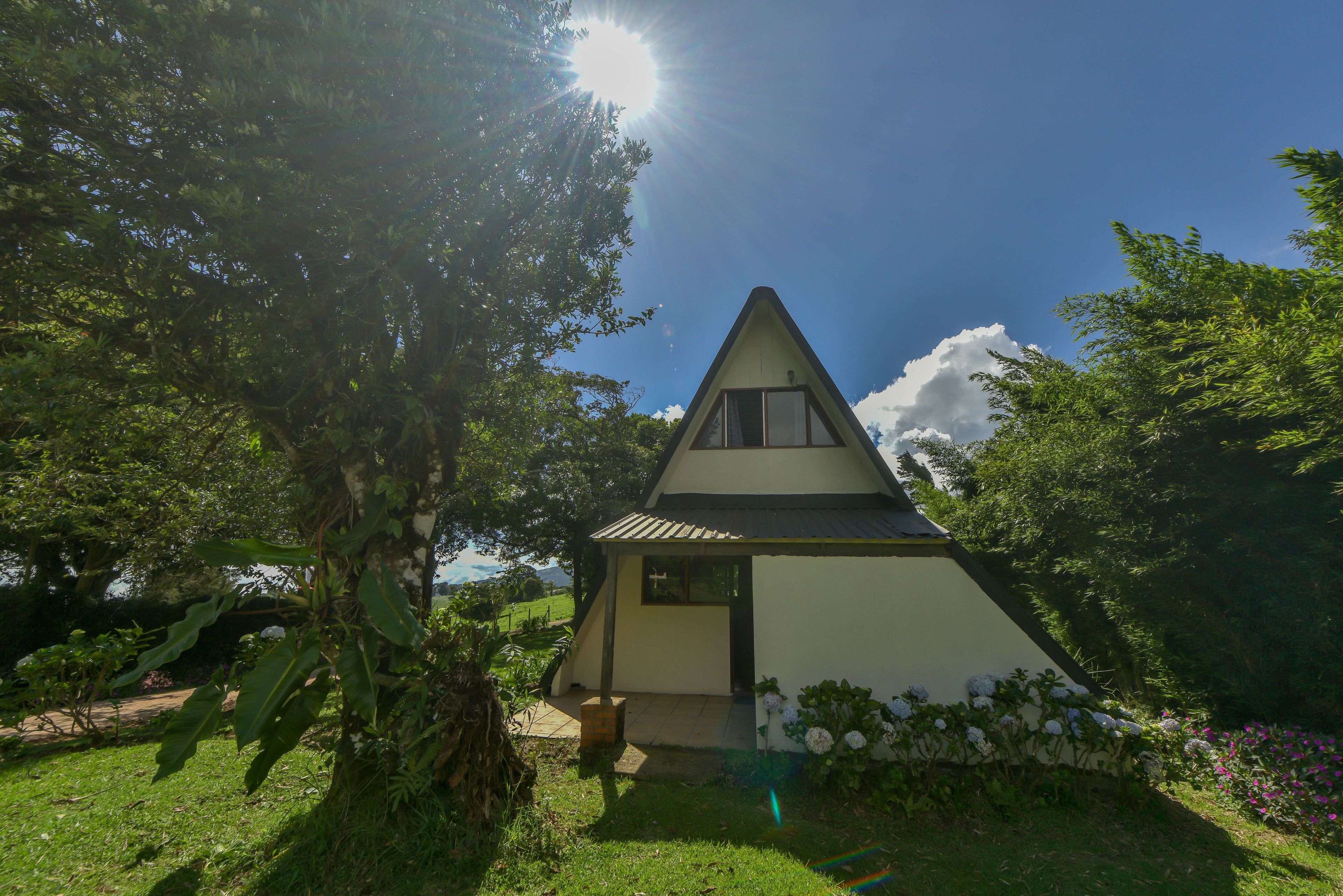 A small, triangular-shaped house with a sloped roof, surrounded by lush greenery and a clear blue sky.