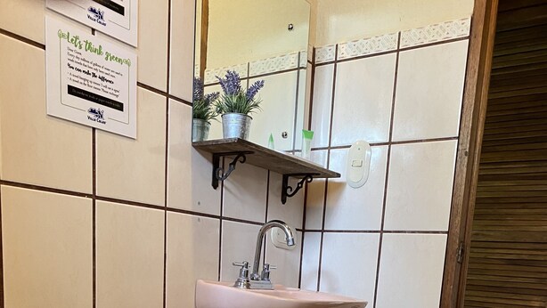 A bathroom with a toilet, sink, and a small shelf with plants.