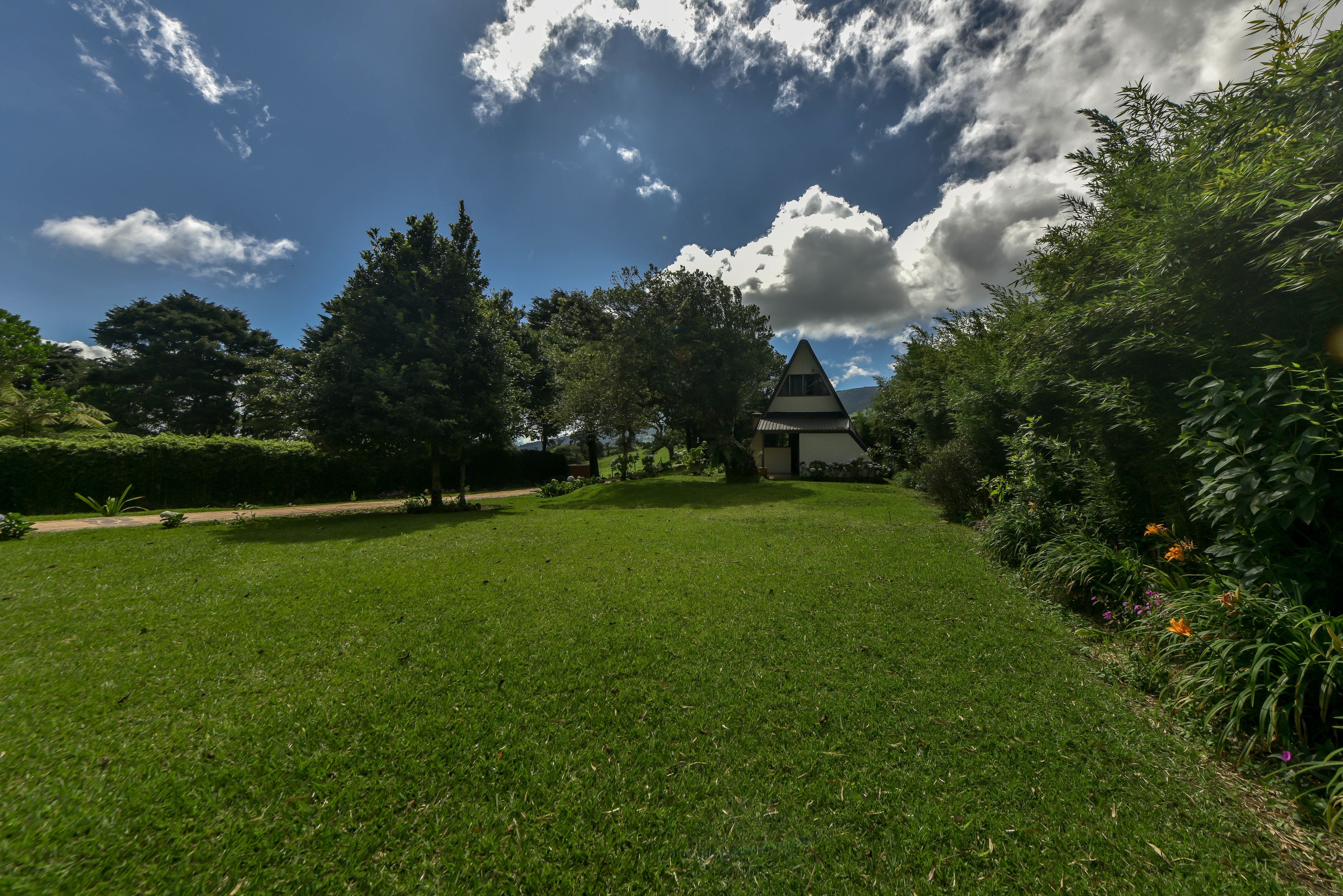 A grassy area with a small building, surrounded by trees and shrubs.