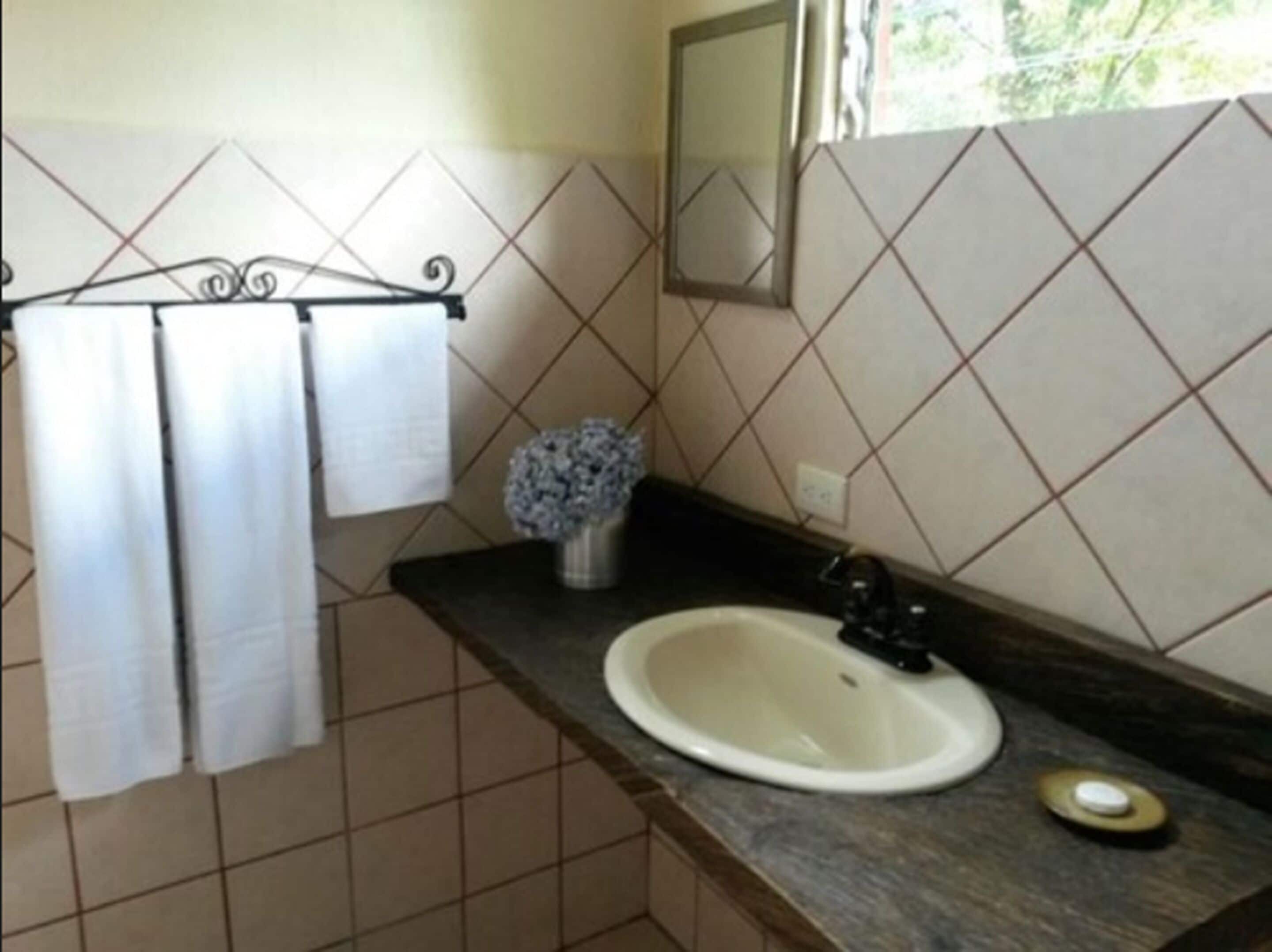 A bathroom with a sink, mirror, and towel rack.