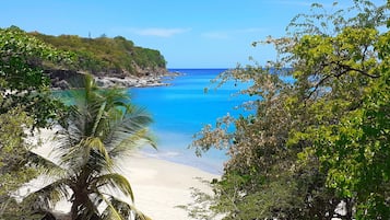 Una spiaggia nelle vicinanze