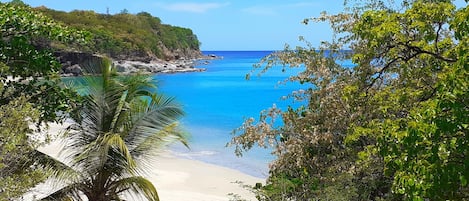 Una spiaggia nelle vicinanze